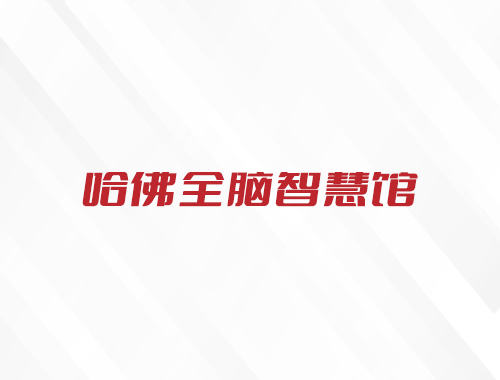 合肥睿动教育咨询服务有限公司